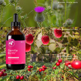 Préparation Douce à la Naissance 120ml avec ingrédients naturels en arrière-plan