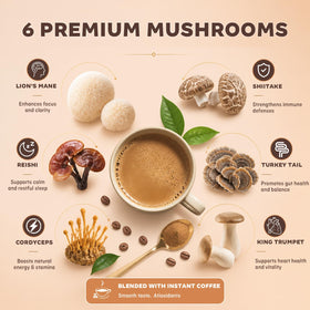 Préparation du café aux champignons Balincer dans une tasse