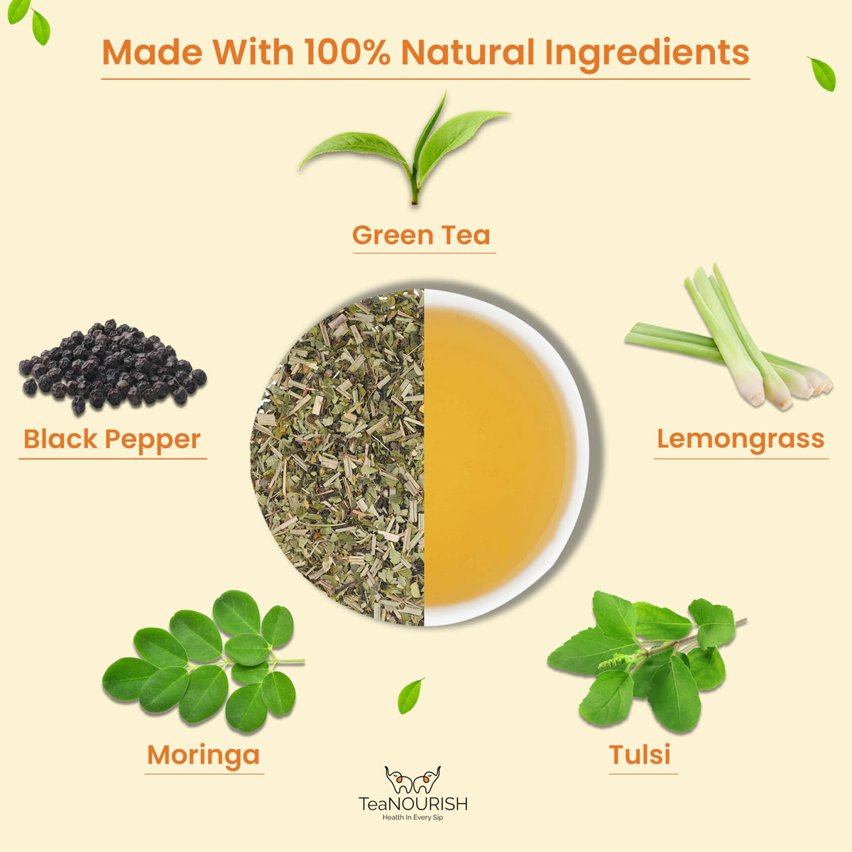 Préparation du Thé Vert Moringa Tulsi TEANOURISH dans une tasse
