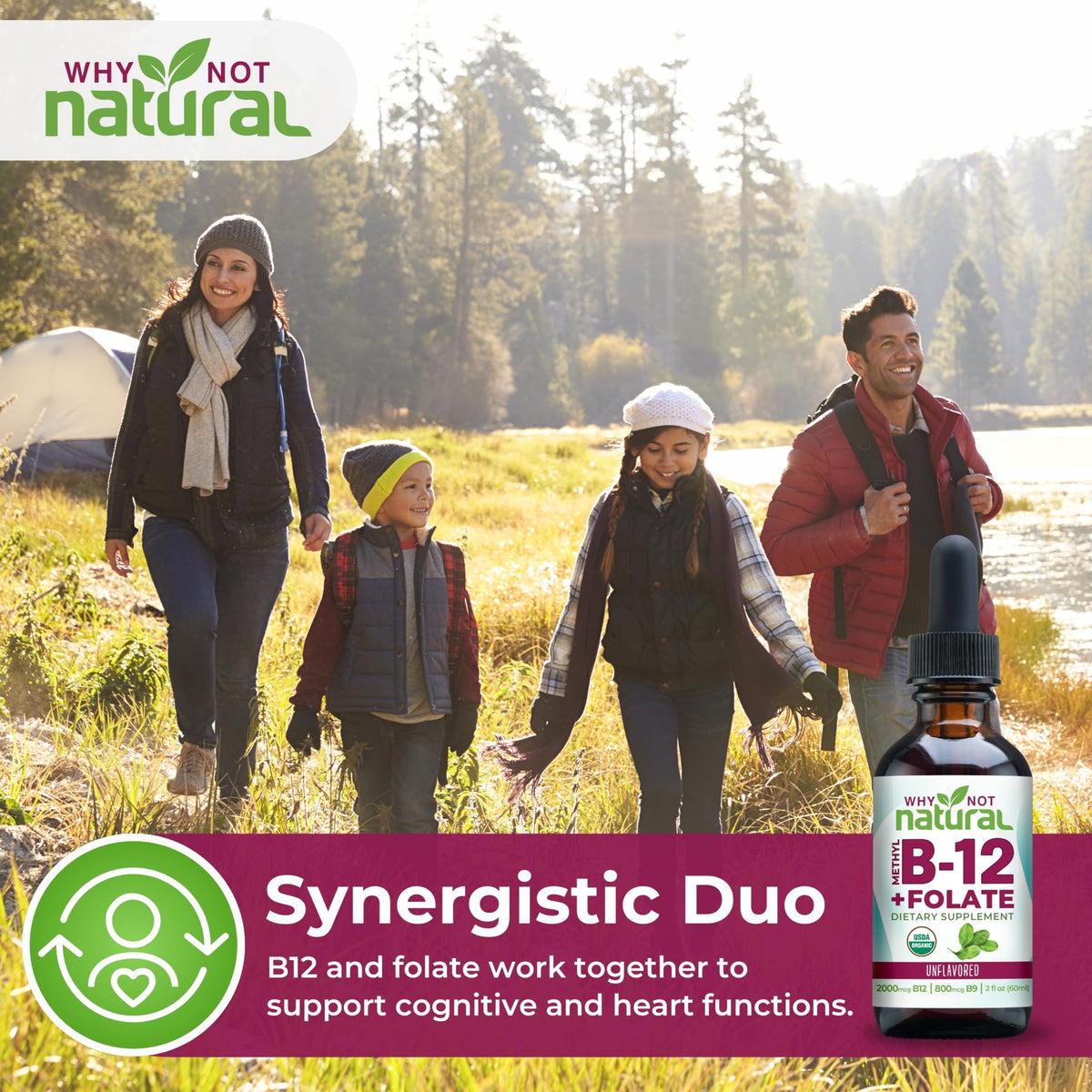 Présentation du complément alimentaire Why Not Natural B12 avec folate