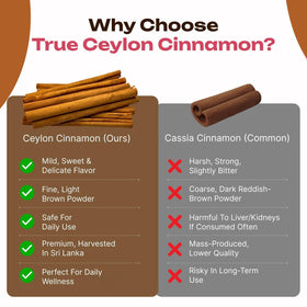 PRESERVE Capsules de Cannelle de Ceylan, vue arrière de la boîte