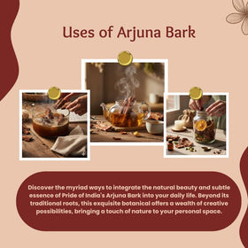 Pride Of India Écorce d'Arjuna 150g en utilisation