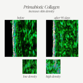 PRIMABIOTIC Collagène Liquide avec description des vitamines