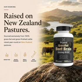 Primal Being Cerveau de Bœuf 90 Capsules avec verre d'eau