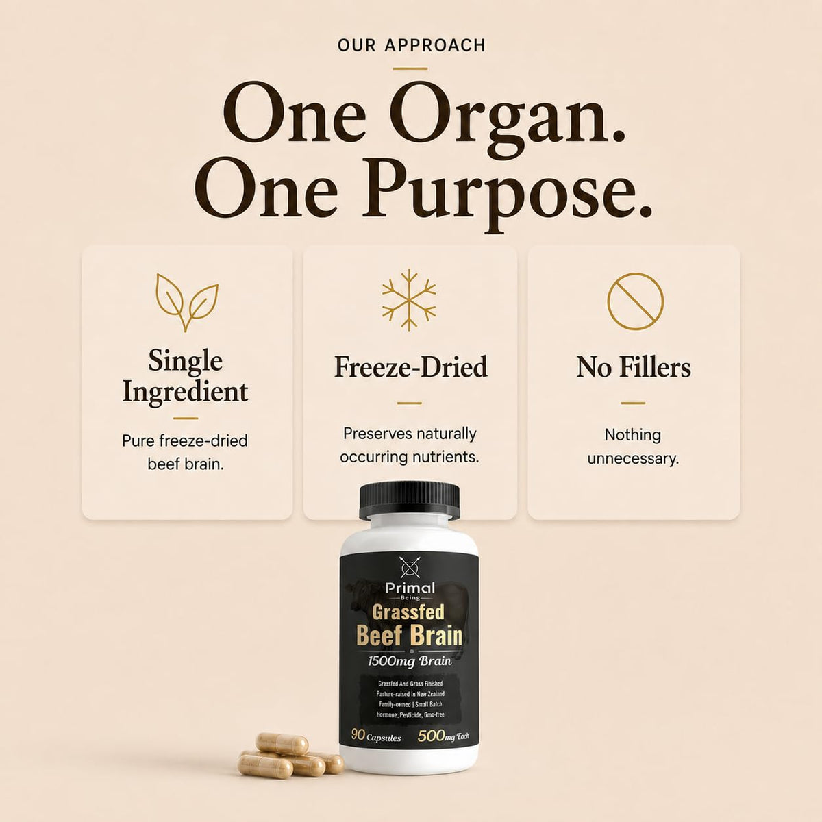 Primal Being Cerveau de Bœuf 90 Capsules côté