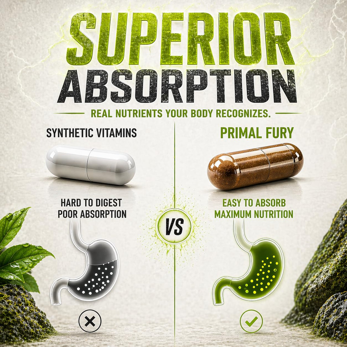PRIMAL FURY Complément Alimentaire Organes de Bœuf avec étiquette visible