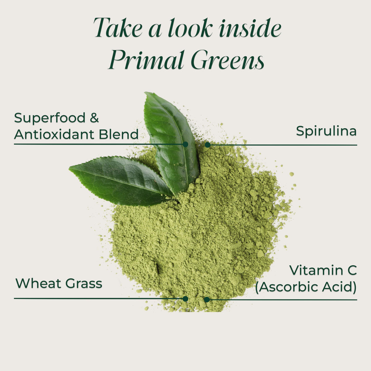 Primal Greens en poudre versée dans un verre d'eau