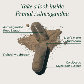 Primal Harvest Ashwagandha avec des ingrédients naturels sur une table