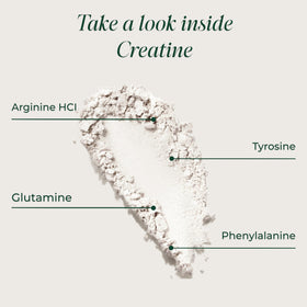 Primal Harvest Créatine Poudre 422g avec cuillère doseuse