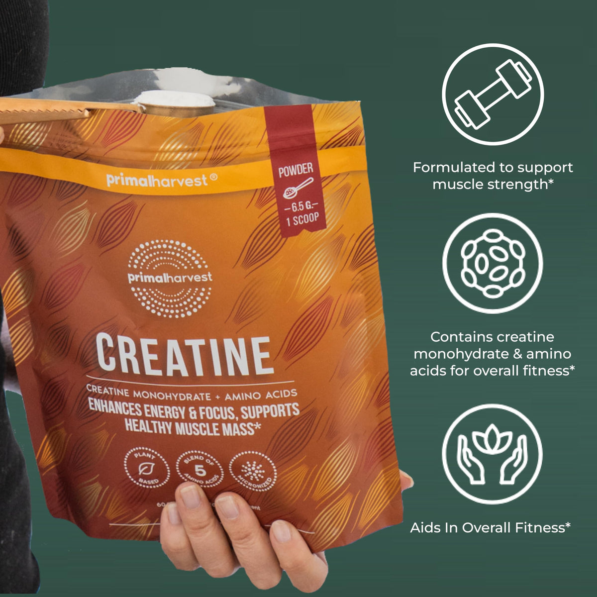 Primal Harvest Créatine Poudre 422g avec des accessoires de sport