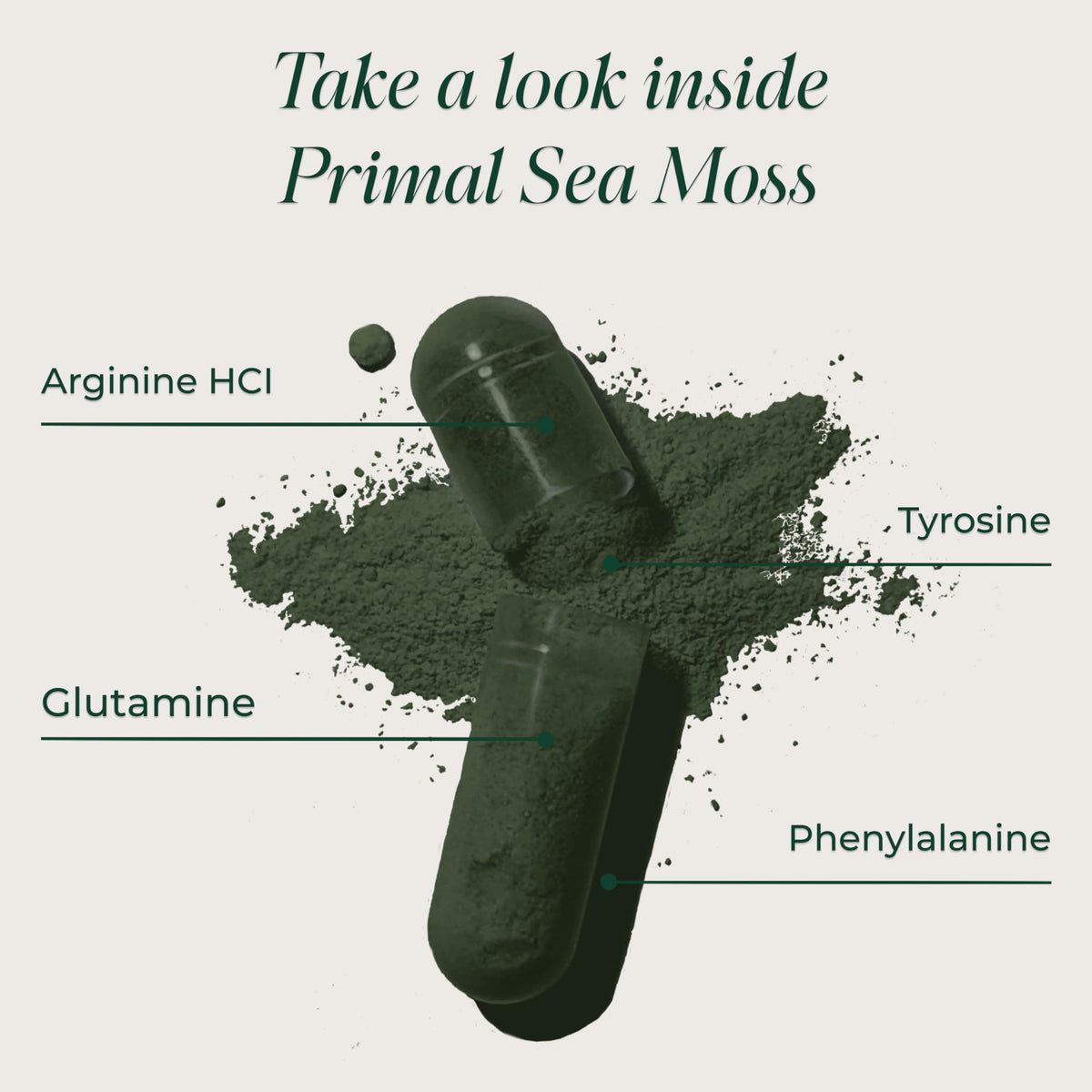 Primal Harvest Mousse de Mer capsules dans une main