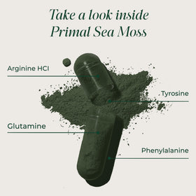 Primal Harvest Mousse de Mer capsules dans une main