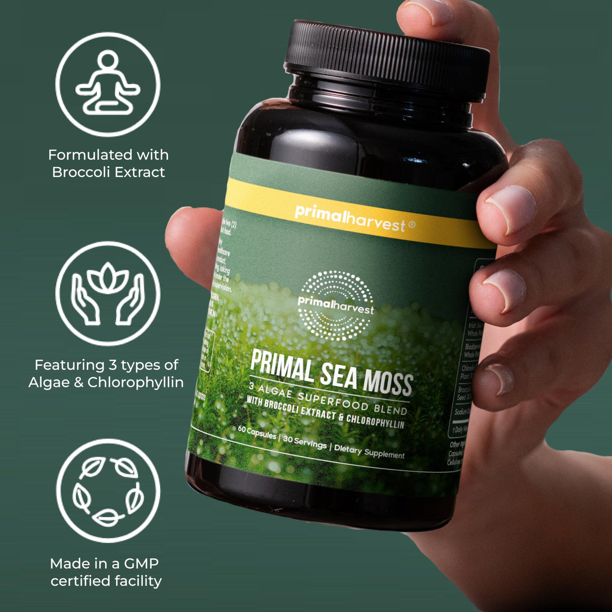 Primal Harvest Mousse de Mer dans un environnement de cuisine saine