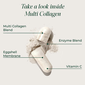 Primal Harvest Multi Collagen présentation des ingrédients