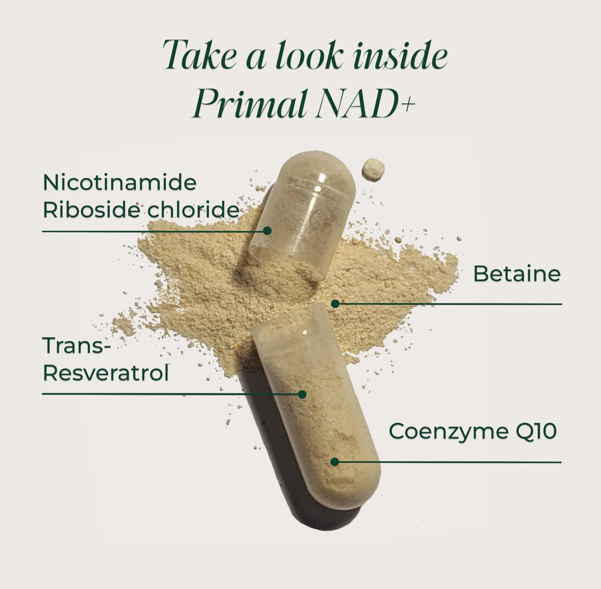 Primal Harvest NAD+ capsules sur une table