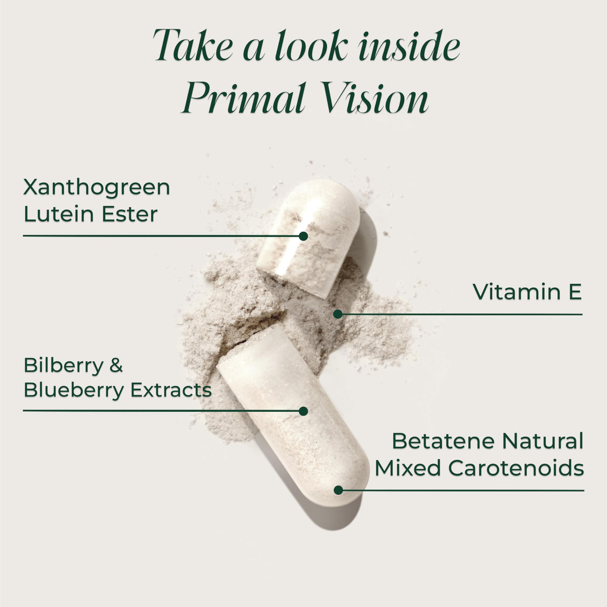 Primal Harvest Vision compléments alimentaires avec ingrédients naturels