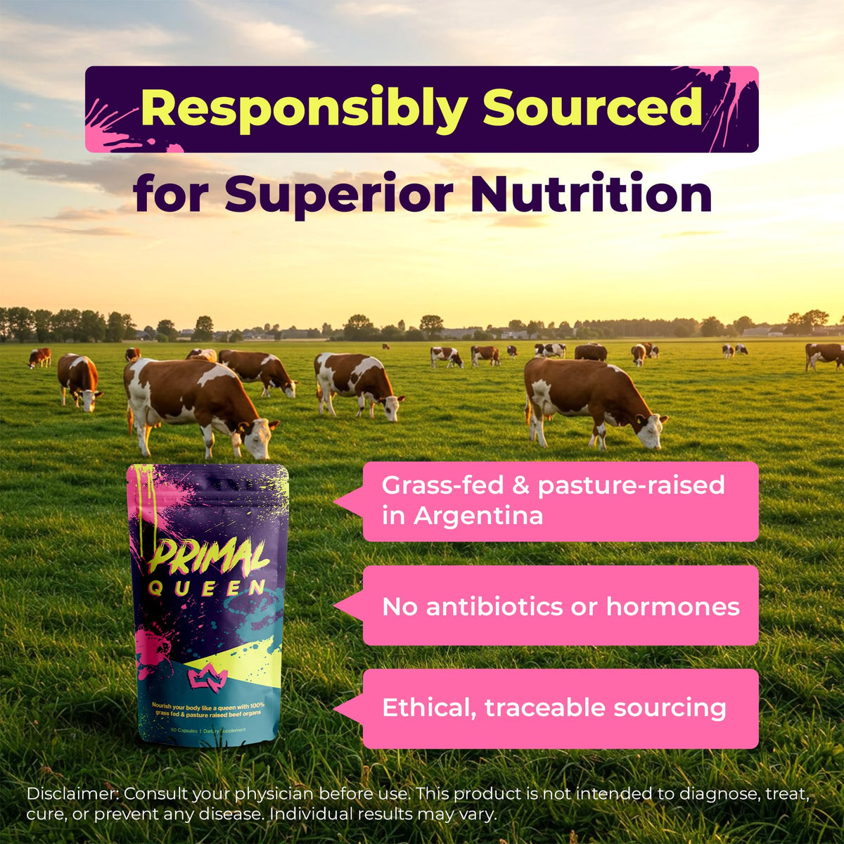 Primal Queen Complément Alimentaire Organes de Boeuf ingrédients