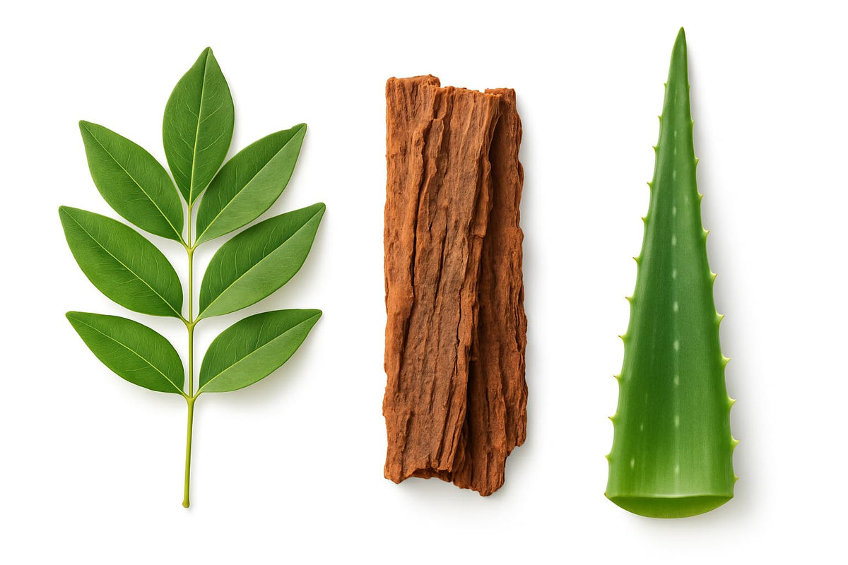 PRIMAL RESOURCE 15 Day Cleanse & 50g mode d'emploi