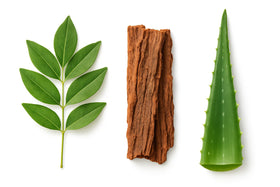 PRIMAL RESOURCE 15 Day Cleanse & 50g mode d'emploi