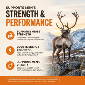 Primal Viking support, capsules de bien-être, vue de dessus