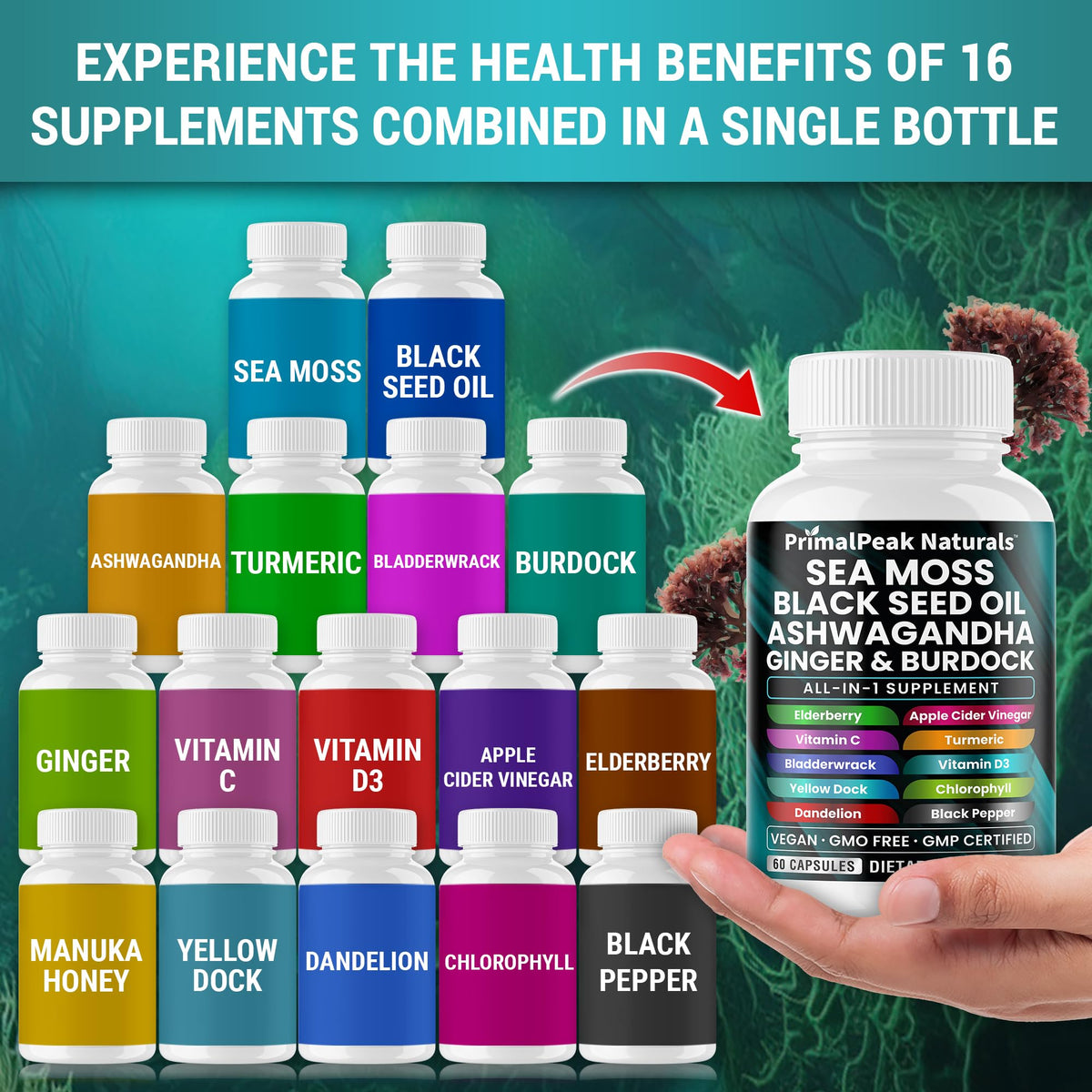 PrimalPeak Naturals Capsules de Mousse de Mer sur un fond blanc