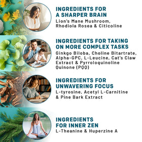 PrimeMD Compléments Lion's Mane 14-en-1 capsules avec ingrédients