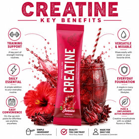 Primeval Labs créatine au goût Jamaica sur un fond de gym