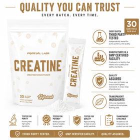Primeval Labs Poudre de Créatine Monohydrate 168g sur une table de gym
