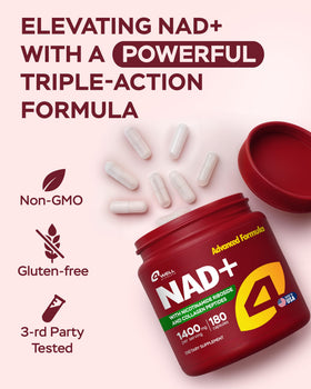 Prise de capsules de Gotu Kola 1400mg avec un style de vie actif