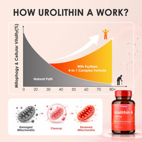 Prise de capsules Puyflam Urolithine A 1000mg