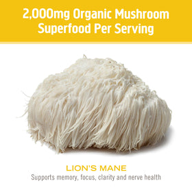 Prise de la poudre de champignon Lion's Mane avec de l'eau
