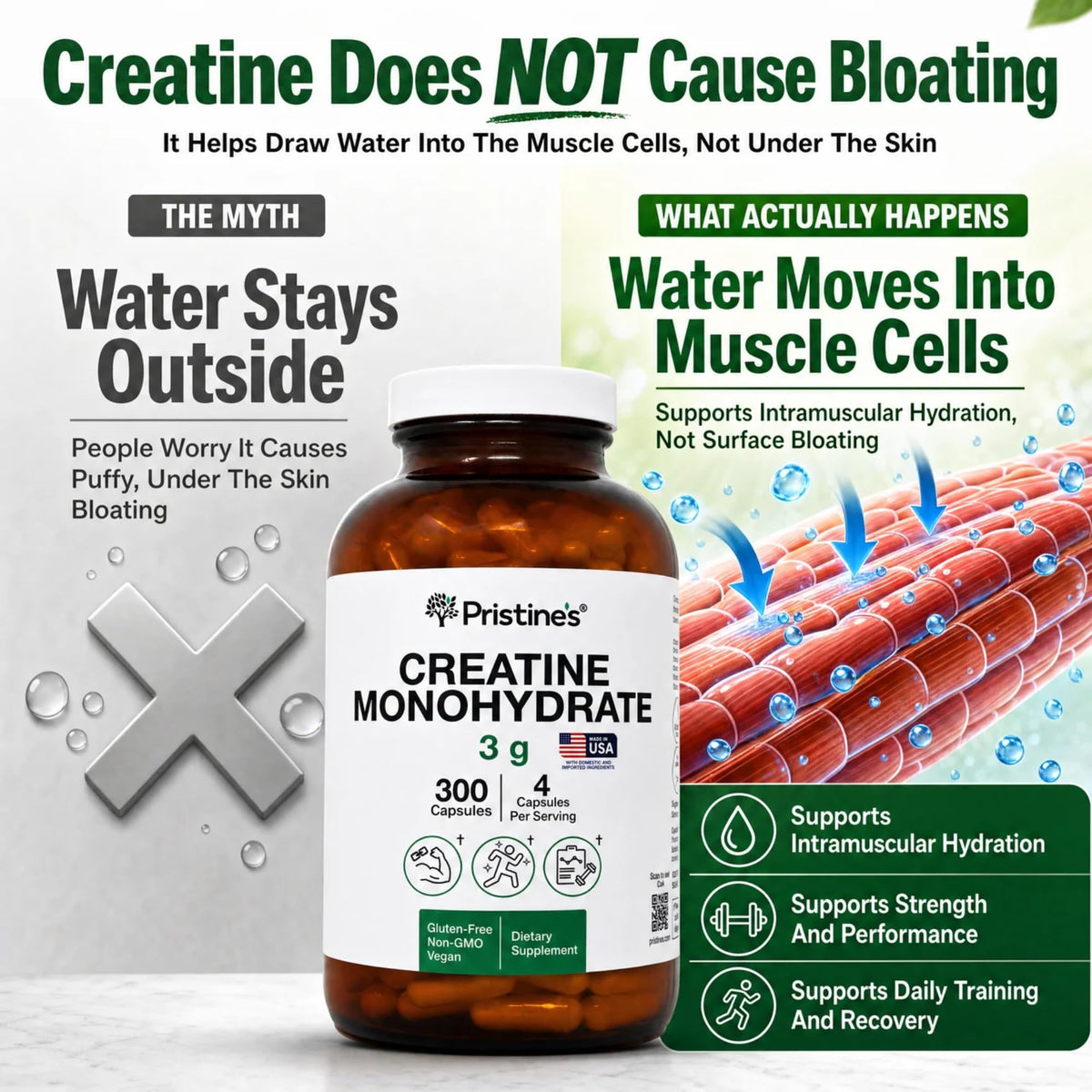 PRISTINE'S Créatine Monohydrate 3000MG capsules packaging