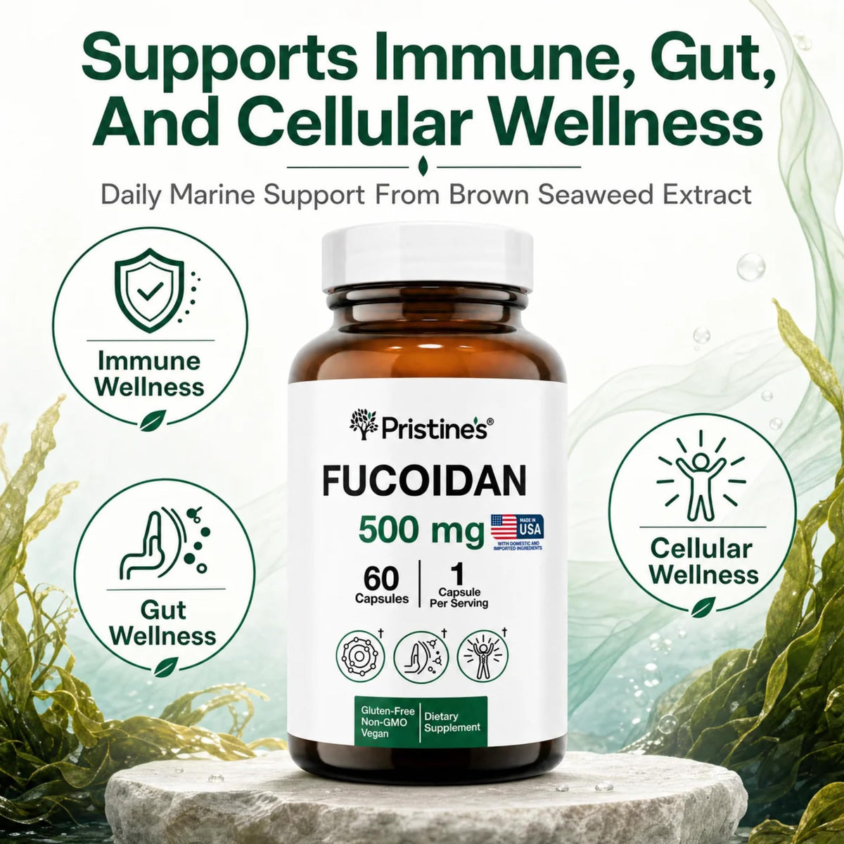 PRISTINE'S Fucoidan 500mg capsule close-up