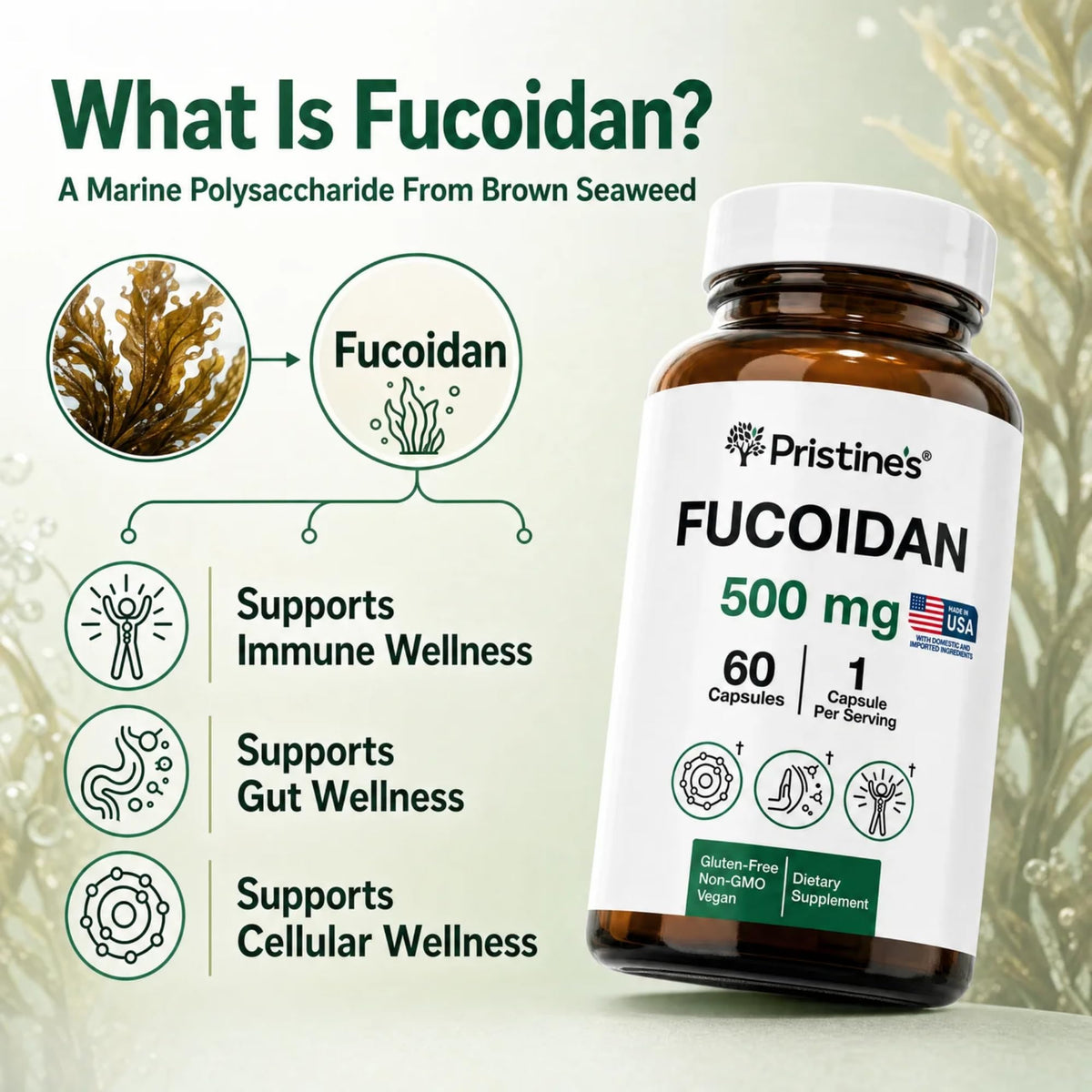 PRISTINE'S Fucoidan capsules on a wooden table