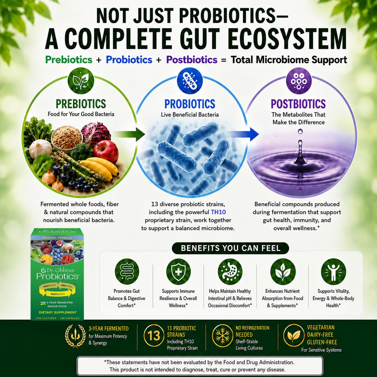 Probiotiques Dr. Ohhira 100 capsules végétariennes arrière