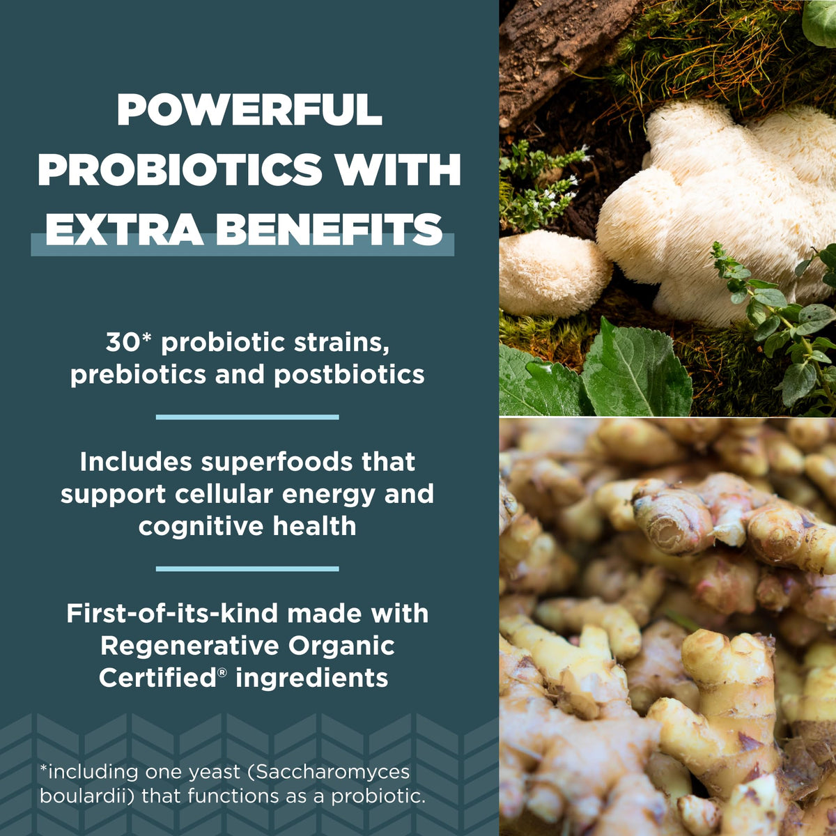 Probiotiques Extra Forts d'Ancient Nutrition avec un verre d'eau