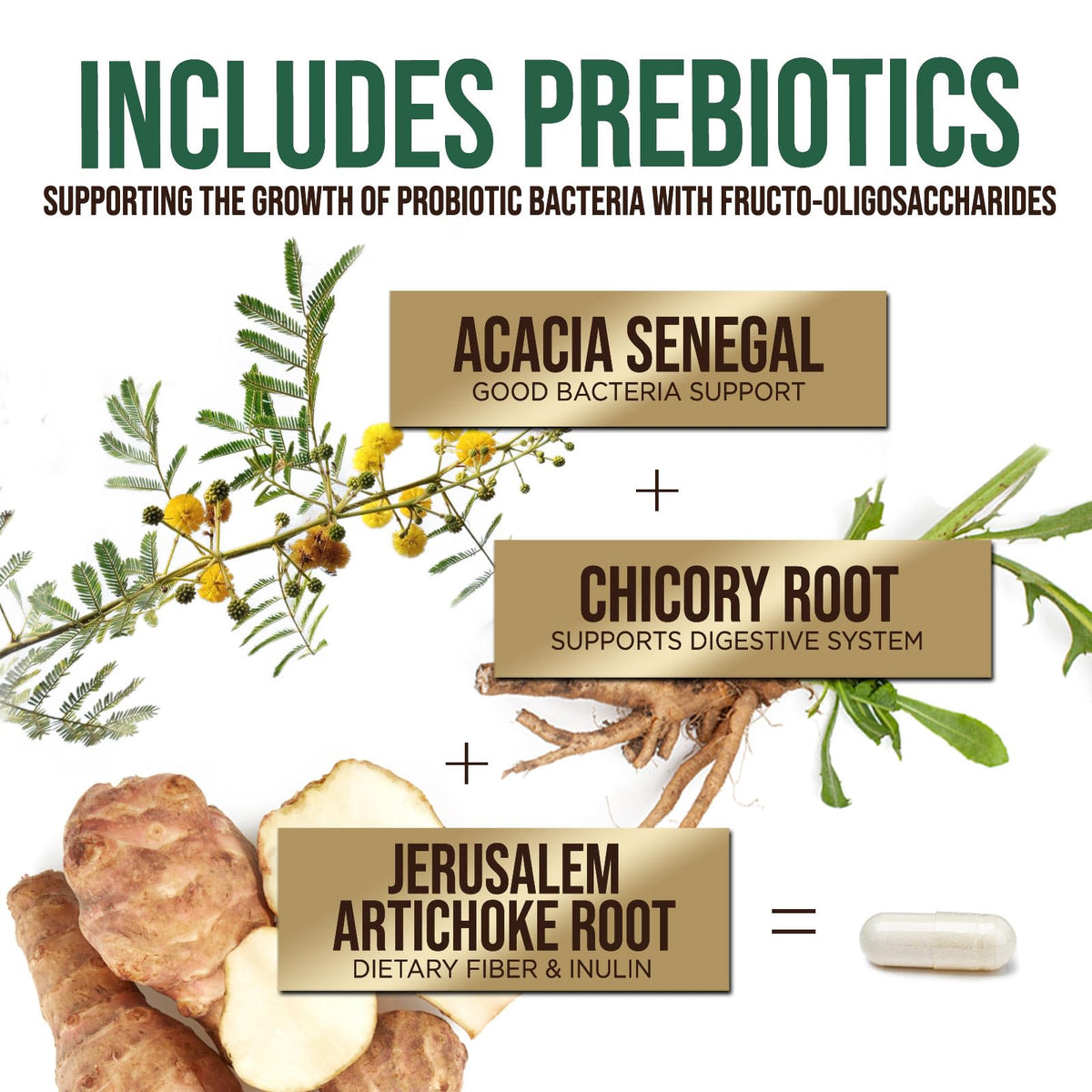 Probiotiques Health Nutrition Naturals sur un fond neutre