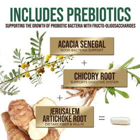 Probiotiques Health Nutrition Naturals sur un fond neutre