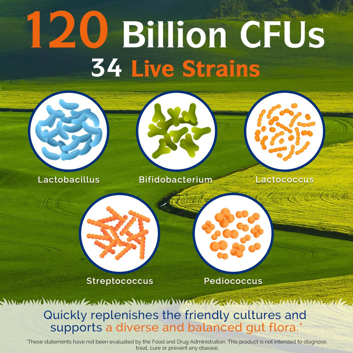 Probiotiques Innate Vitality 120 Milliards CFU 30 Capsules Végétales - étiquette