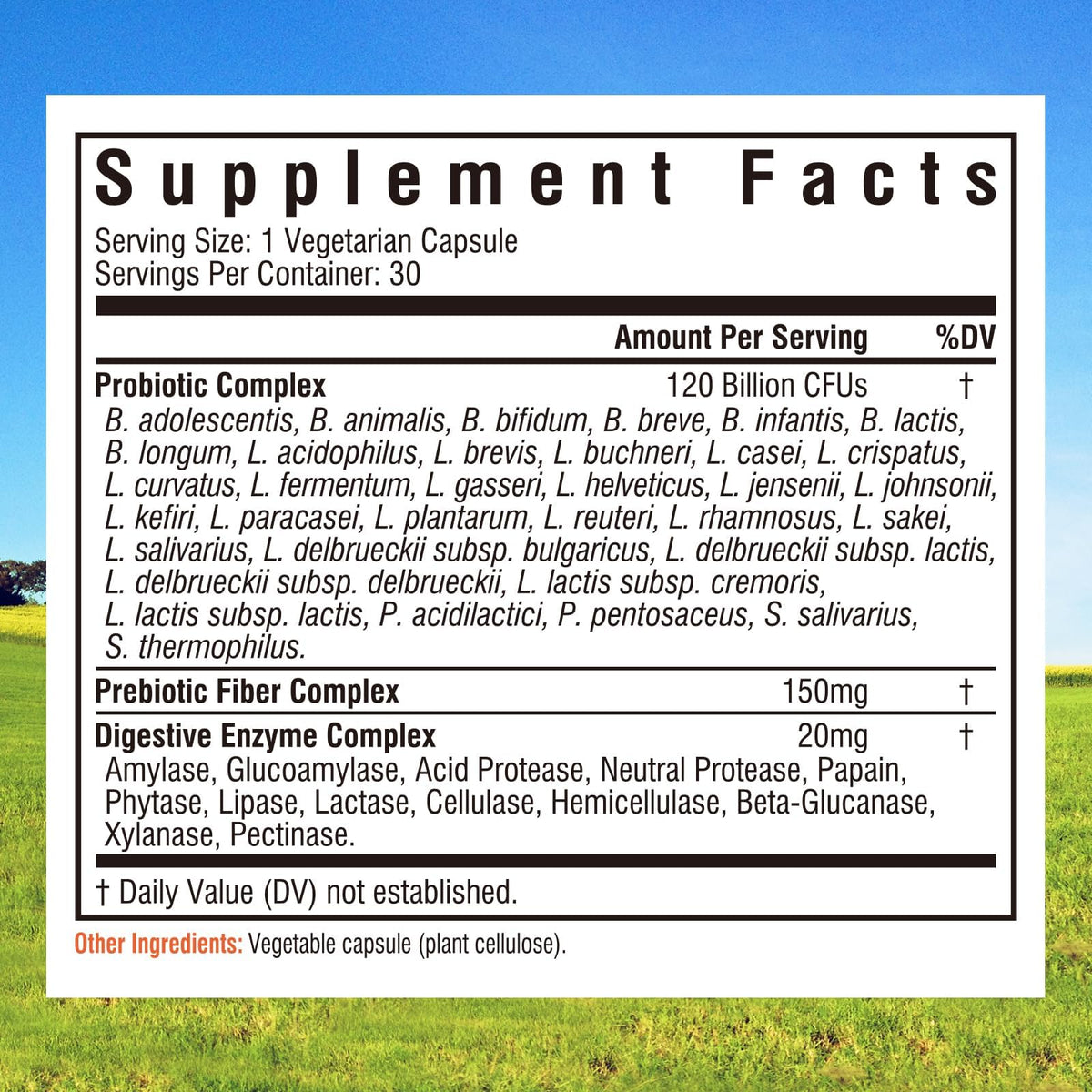 Probiotiques Innate Vitality 120 Milliards CFU 30 Capsules Végétales - vue arrière