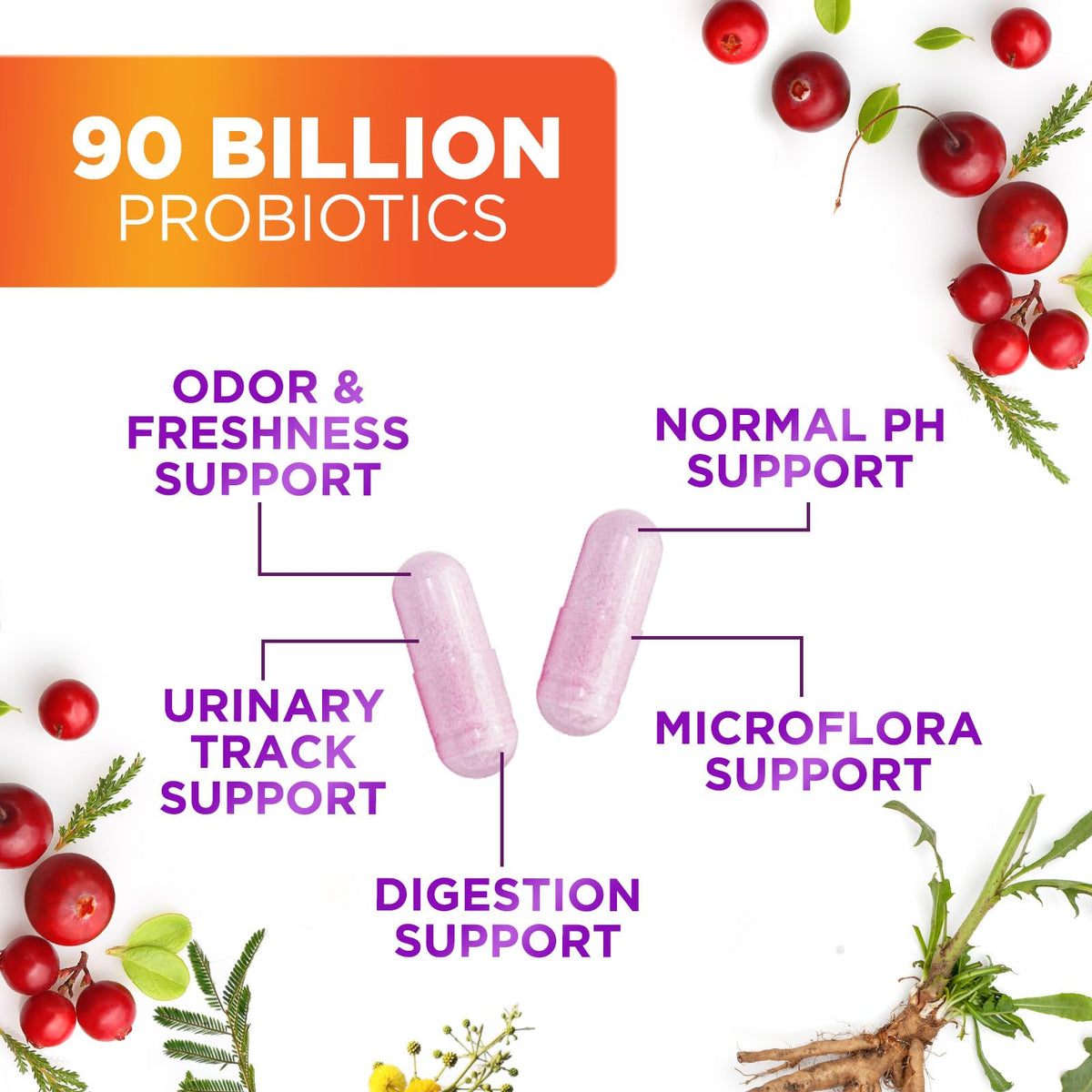 Probiotiques Nature's Nutrition avec prébiotiques