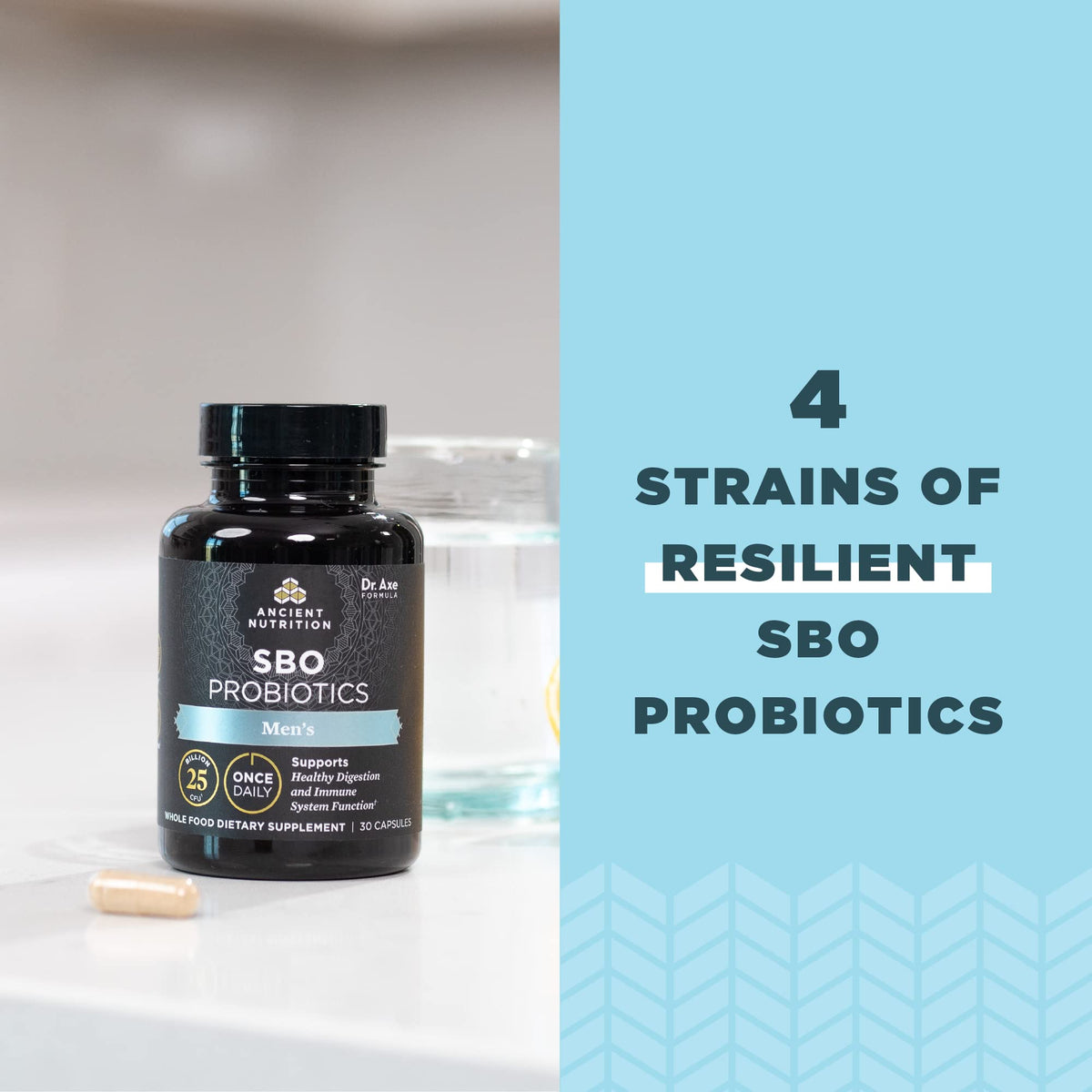 Probiotiques pour Hommes Ancient Nutrition avec mélange de super-aliments