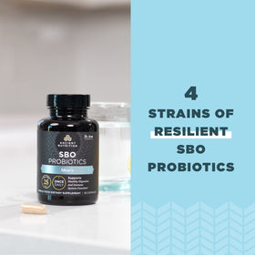 Probiotiques pour Hommes Ancient Nutrition avec mélange de super-aliments