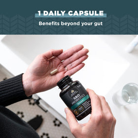 Probiotiques SBO Ancient Nutrition avec capsules à côté