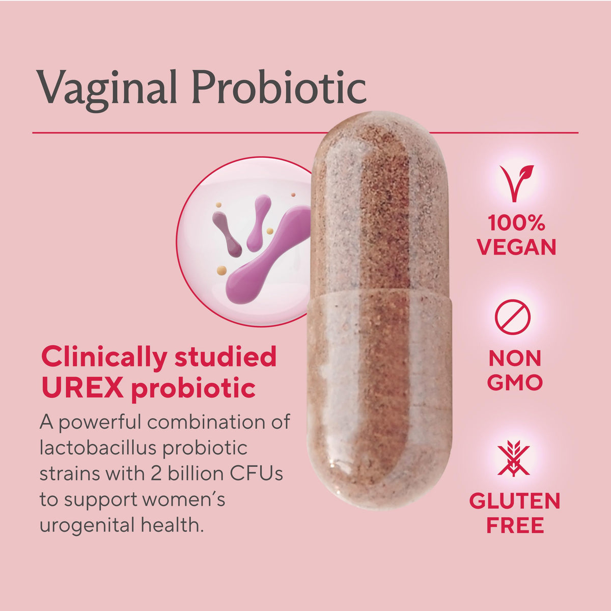 Probiotiques Sunergetic vue arrière avec ingrédients