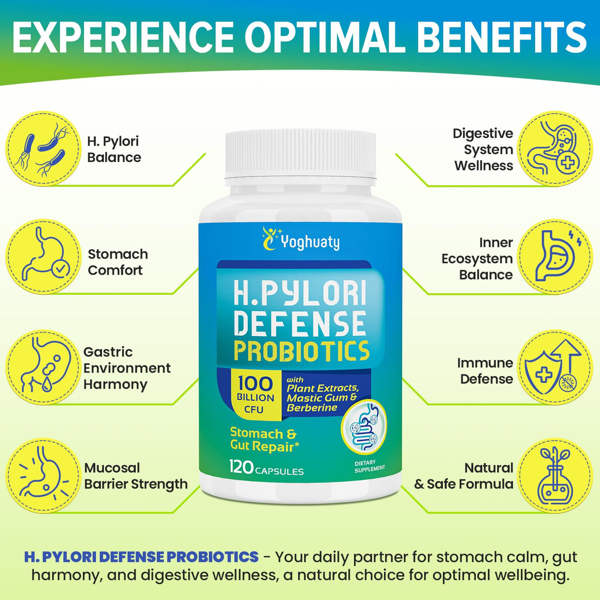 Probiotiques Yoghuaty H. Pylori avec ingrédients naturels en arrière-plan