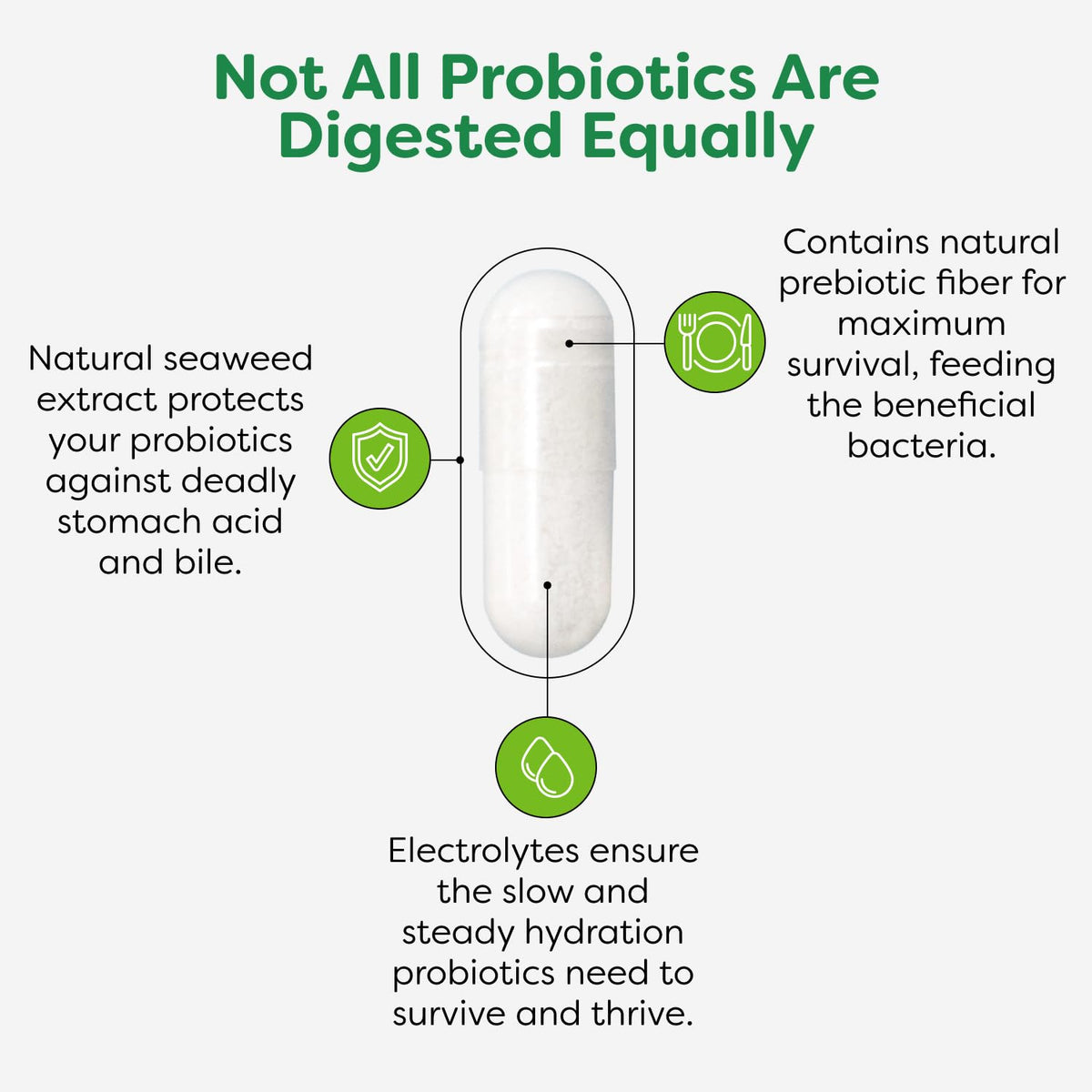 Probulin Complément Alimentaire Probiotique avec vue arrière