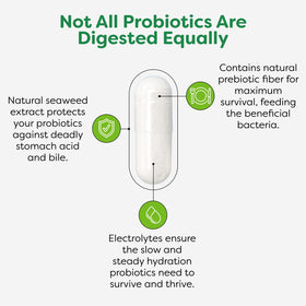 Probulin Complément Alimentaire Probiotique avec vue arrière
