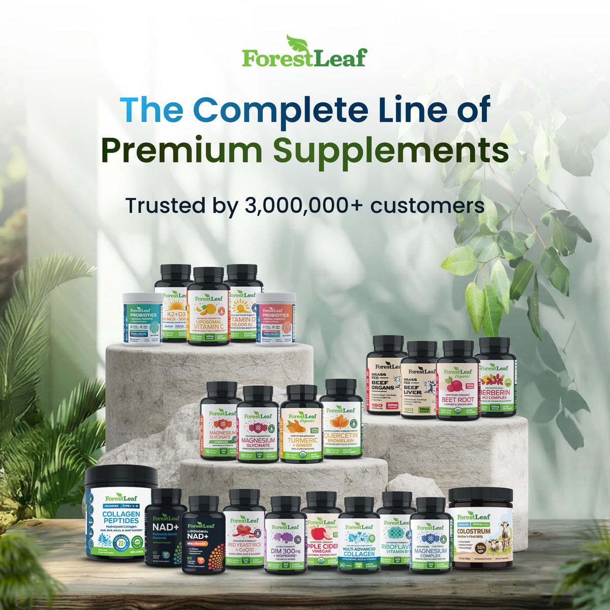 Produit ForestLeaf sur une table avec des plantes