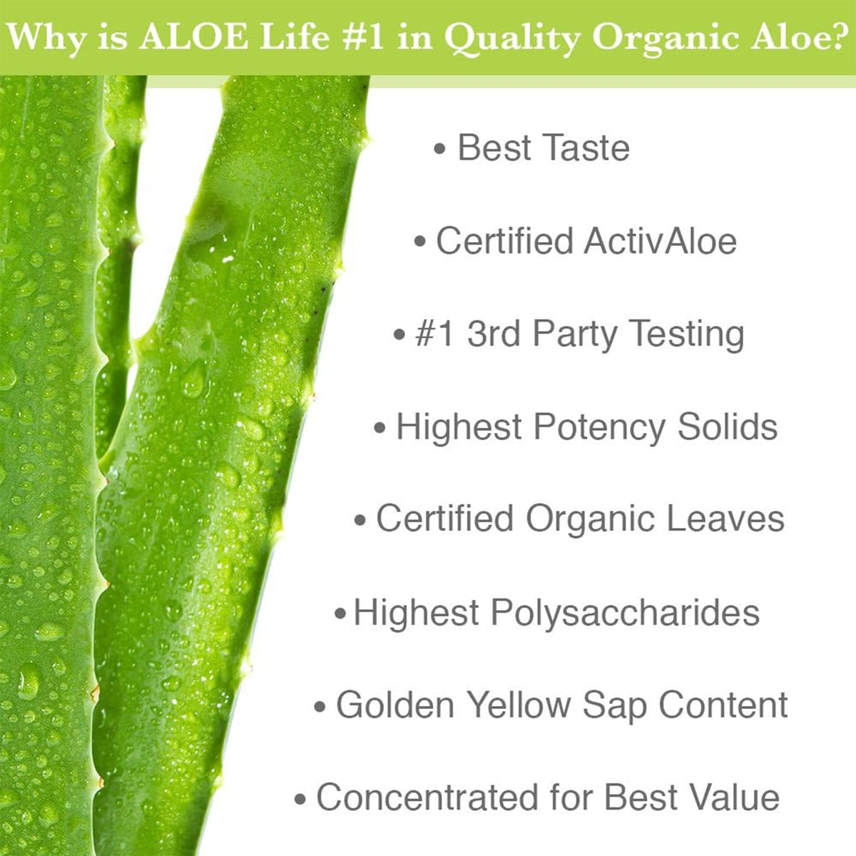 Produits Aloe Life incluant jus d'Aloe Vera et compléments